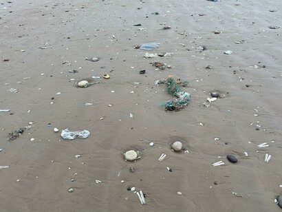 Frammenti di plastica che finiscono tra i sedimenti marini mostrano la loro diffusione nel mare