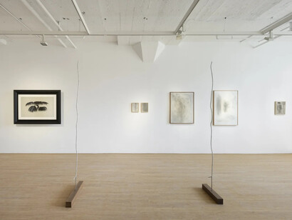 Fluid in forms, exhibition view. Courtesy of Arario Gallery