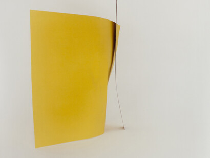 Viola Yeşiltaç, Untitled (I really must congratulate you on your attention to detail), 2012. 14. 24 x 28 inches.