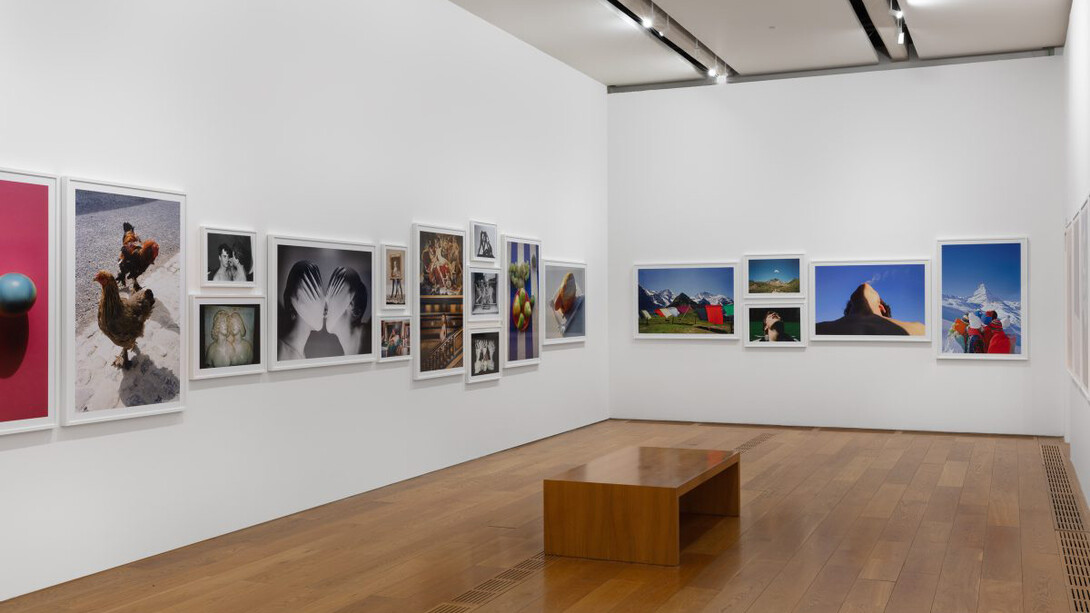 Walter Pfeiffer, In good company, vista della mostra. Cortesia di Pinacoteca Agnelli
