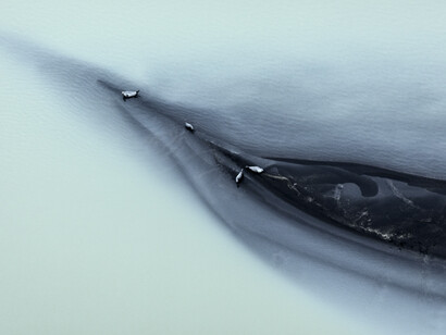 Ripple, 2015 Archival Pigment Print 