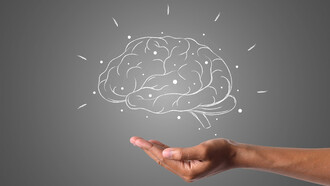 The human hand extends below the brain