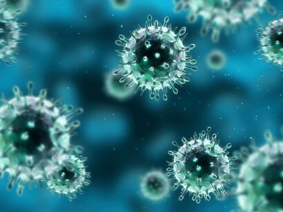 We don’t know enough about this new Coronavirus
