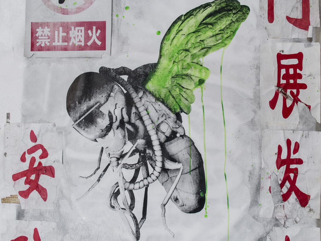 Toutes les images: Courtesy Magda Danysz gallery