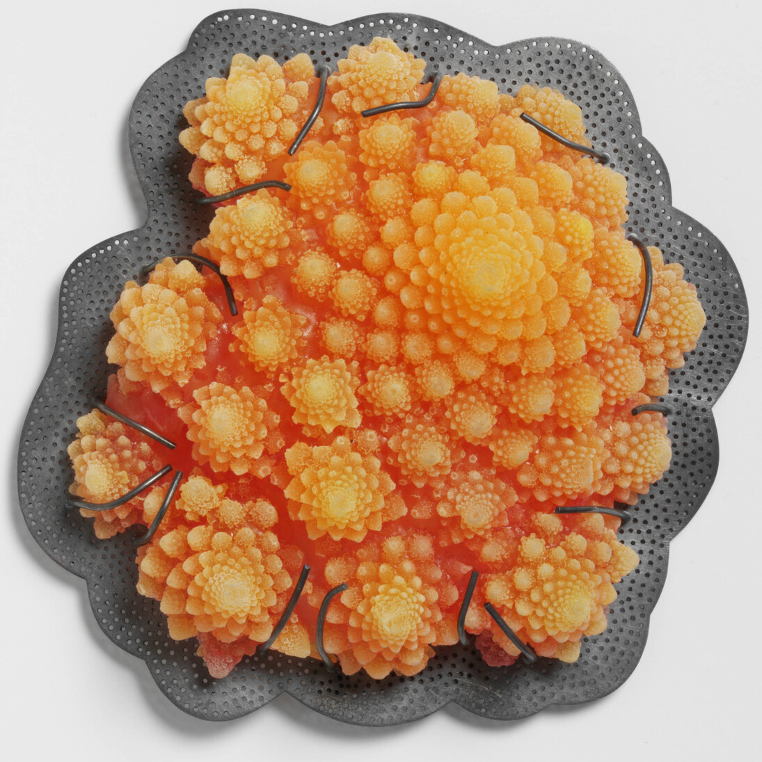 Brooch, Barbara Paganin, 2011, Italy. Museum no. M.226:1-2011. © Victoria and Albert Museum, London/Barbara Paganin