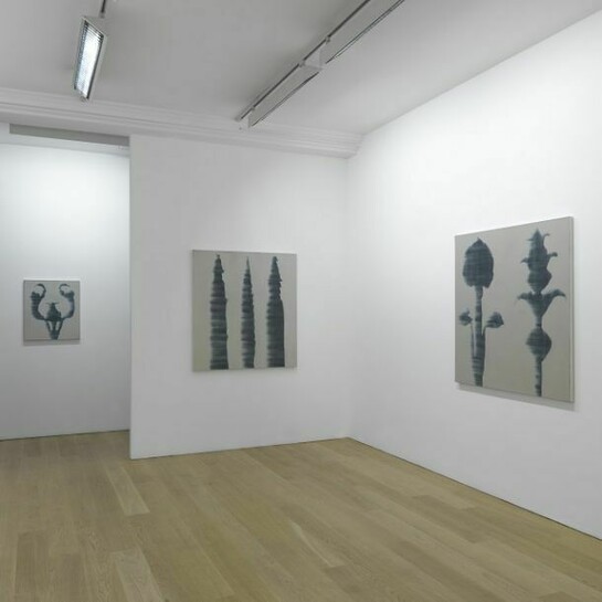 Andrew Mansfield, Installation view, Anthony Reynolds Gallery, London, Copyright the artist