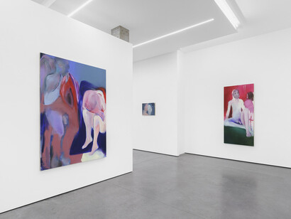 Tatiana Gorgievski, The skin I don’t have, vue de l'exposition. Avec l'aimable autorisation de la Whitehouse Gallery