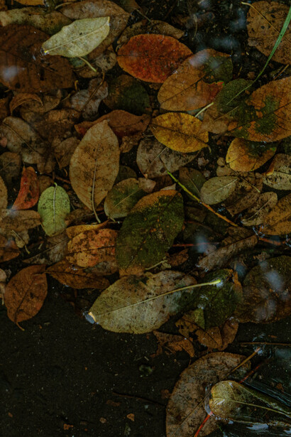 Farsi strada per trovare il proprio posto nel mondo
