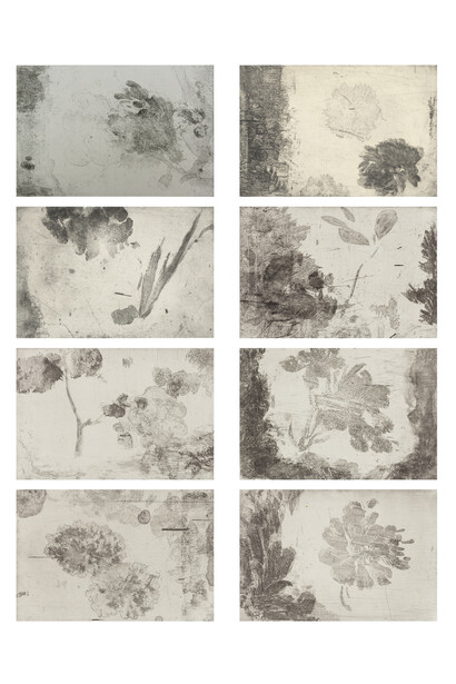 Yan Shanchun 嚴善錞 (b. 1957), Lakeside Flowers 湖边的花, 2013, Copper plate etching, Set of 8, Each image 5 1/4 x 7 3/4 in (sheet 13 3/4 x 18 3/4 in), 13 x 20 cm (35 x 48 cm), Edition of 30