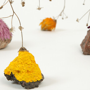 Here You Are. Courtesy of Kiasma