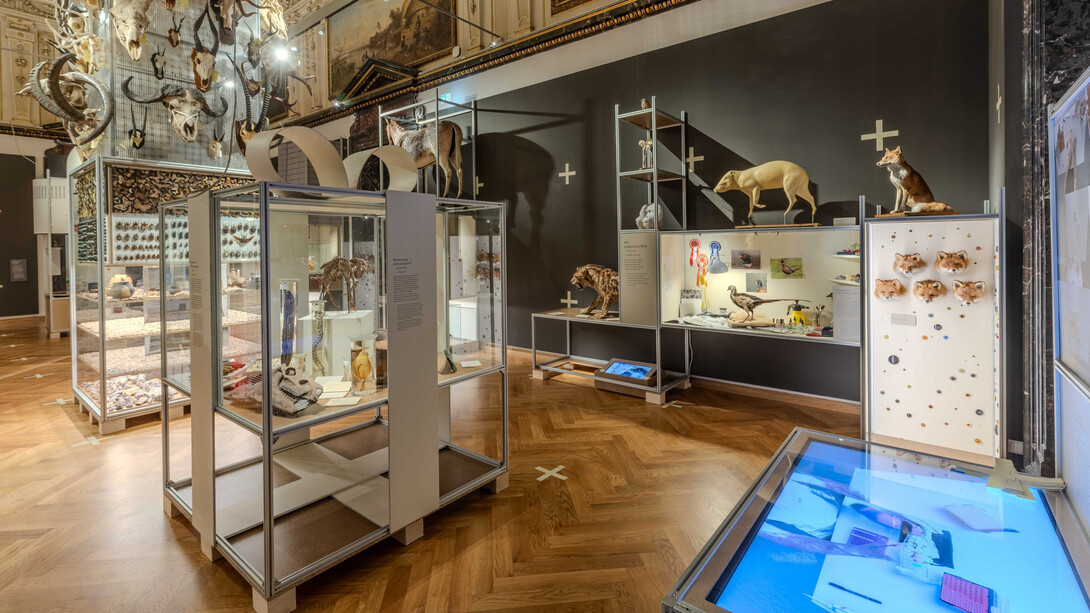 Good collecting, bad collecting, exhibition view. Courtesy of Naturhistorisches Museum Wien