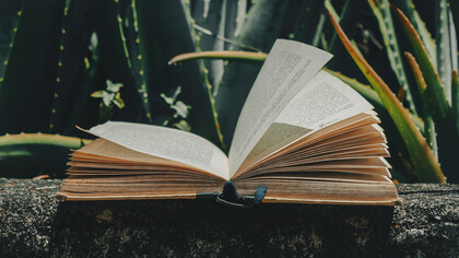 Eduardo Anguita Cuéllar (1914-1992), Premio Nacional de Literatura en 1988