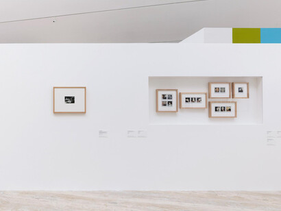 Scripted Reality. Courtesy of Museo Jumex