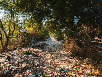 Waste laying on the ground in forest