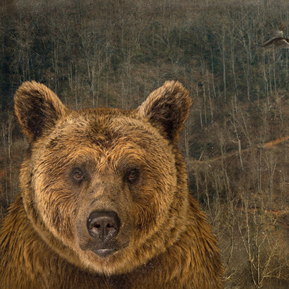 Dale Niles. Courtesy of Brickworks Gallery
