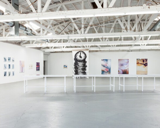 Cunt, Exhibition view. Courtesy of Venus
