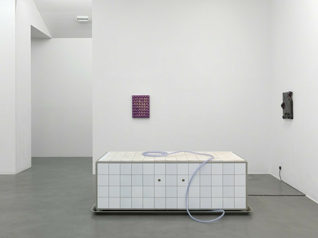 Mai-Thu Perret. Zone, Exhibition view. Courtesy of Simon Lee Gallery 
