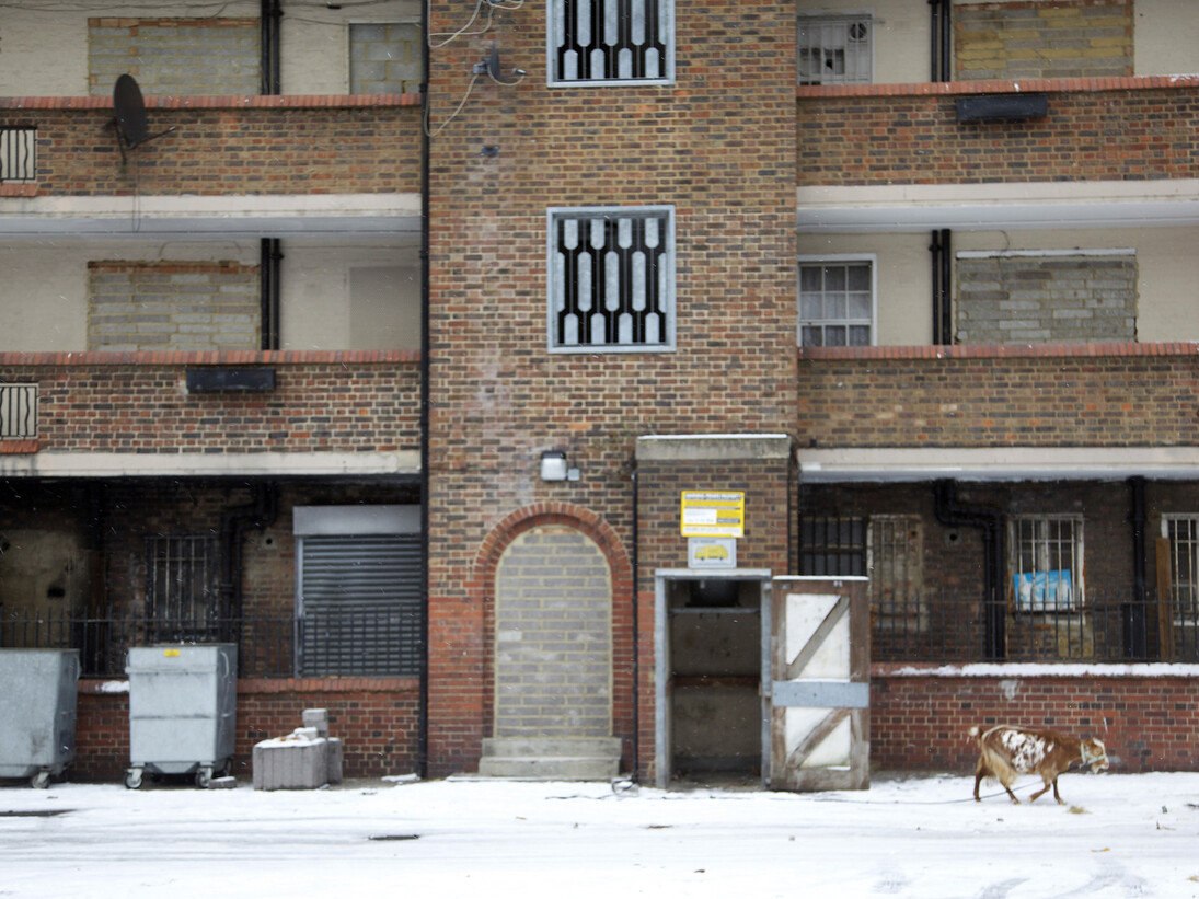 Andrea Luka Zimmerman, Estate, a Reverie (2015) Production still. Courtesy photographer Briony Campbell and Fugitive Images