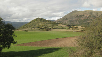 Pascoli in altura in Umbria