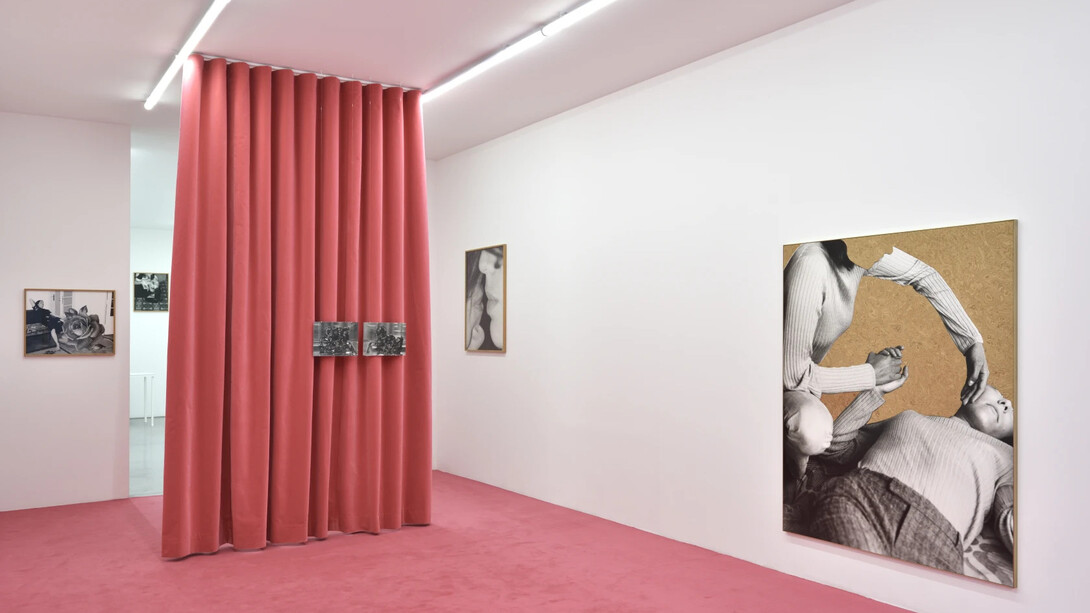 Joanna Piotrowska, exhibition view. Courtesy of Marian Goodman Gallery