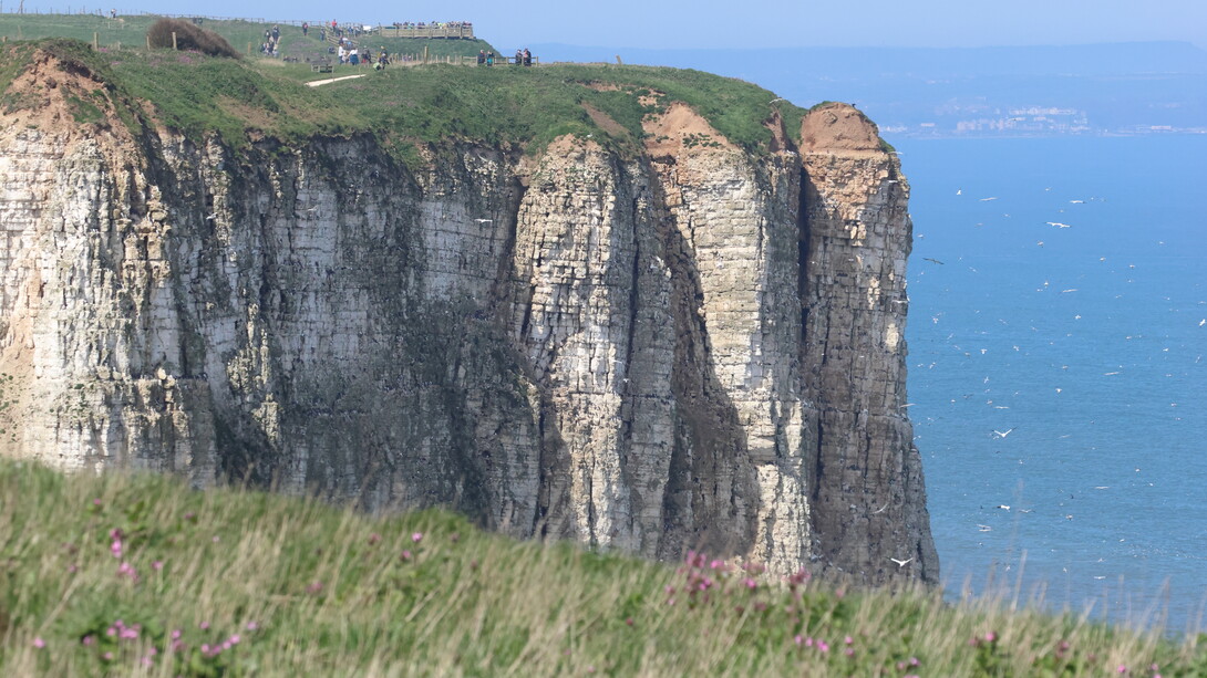 Birdwatchers on the cliff tops at Bempton Cliffs (c) Gehan de Silva Wijeyeratne
