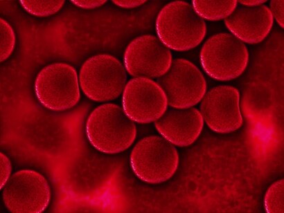 El sistema inmune es el encargado de defender nuestro cuerpo contra las infecciones, virus, bacterias o cualquier otro organismo invasor que pueda causarnos daño