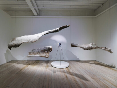 Black myth, exhibition view. Courtesy of White Rabbit Gallery
