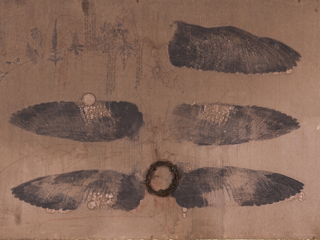 Courtesy Ricardo Brey & Galerie Nathalie Obadia Paris / Brussels © We Document Art