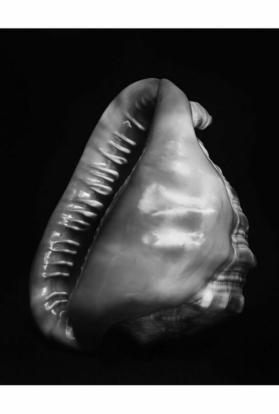 Untitled from Fractal Scars, Salt Water and Tears, 2012-2014, Silver gelatin fibre based print, © Esther Teichmann, courtesy of Flowers Gallery