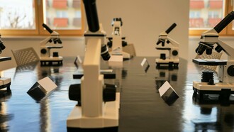 Laboratório de pesquisa. Uma reflexão sobre o papel das universidades brasileiras no progresso científico e tecnológico, as dificuldades enfrentadas pelos pesquisadores e a importância de dominar outros idiomas na ciência