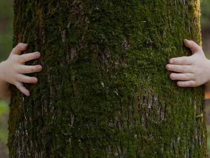 A hand reaches out to feel the textured moss covering the bark of a tree