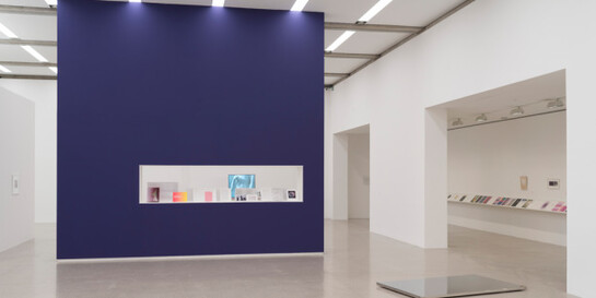 Martin Beck, Exhibition view. Courtesy of Mumok 