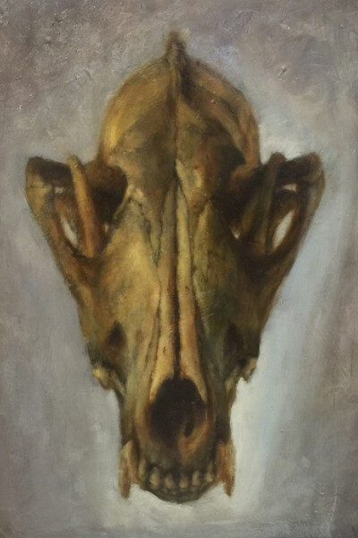 Valerie Pobjoy, Skull (Coyote), 2017. Courtesy of Flower Pepper Gallery