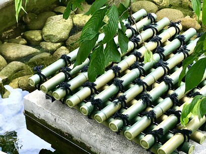 Bamboo over water basin © Alma Reyes