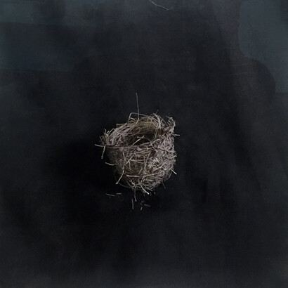 Nests. Courtesy of Brickworks Gallery