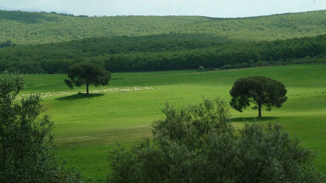 Riserva naturale nell'area di Monterotondo