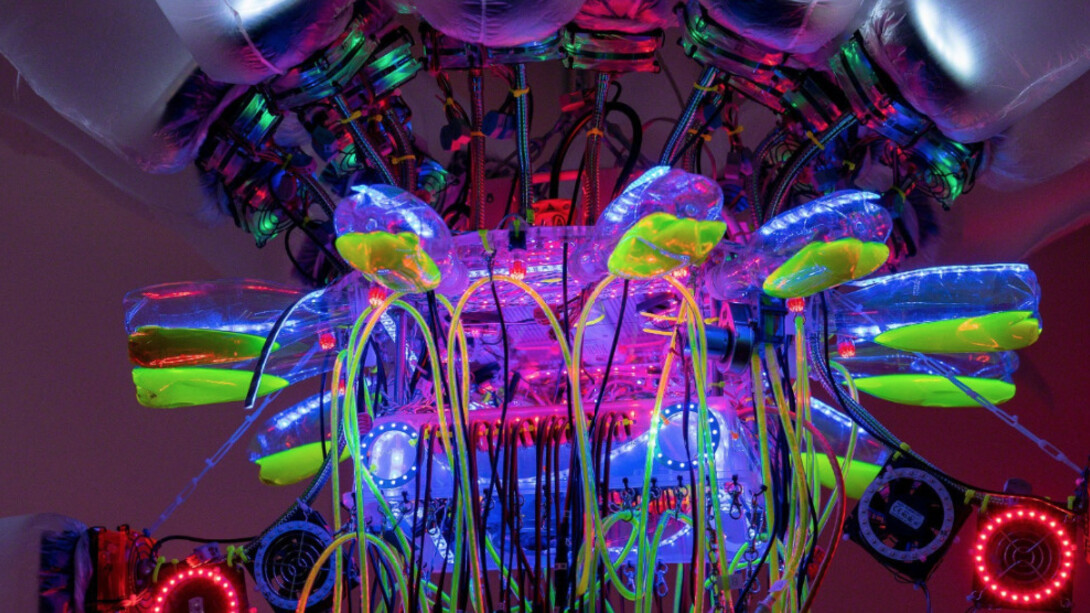 Incubate. Courtesy of Ronald Feldman Fine Arts