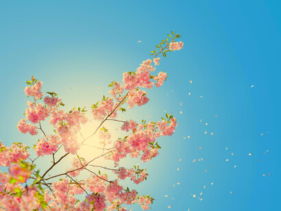 Todo se encuentra a sí mismo en su opuesto y complementario