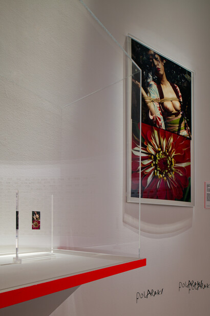 Araki Nobuyoshi, Polaraki, exhibition view. Courtesy of Musée Guimet