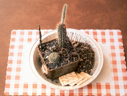Allen Ruppersberg. Courtesy of Hammer Museum