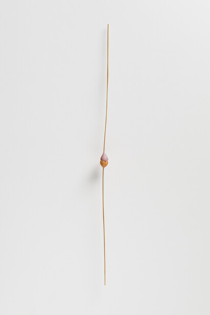 Ellen George, Bud. Courtesy of PDX Contemporary Art