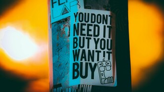 A common critique of consumer culture which drives profit and economic growth beyond meeting basic human needs