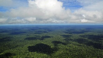 Amazônia