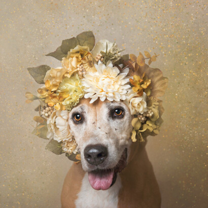 Flower Power. Courtesy of Russell Collection