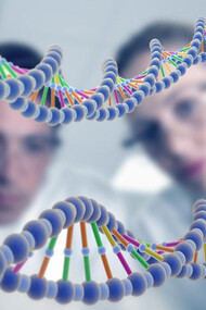 The genetic determinants of our being human