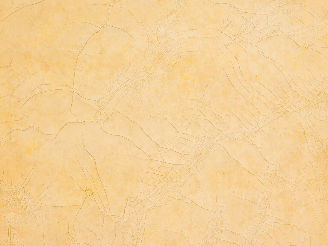 Alex Hay
Sun Print
1968
latex pigment on filter paper
29 x 29 inches
(73.7 x 73.7 cm). Detail. Images courtesy the artist and Peter Freeman, Inc