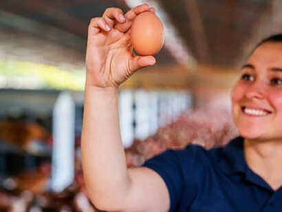 A farmer collecting eggs in a poultry farm, reflecting the harsh conditions of factory farming and the reality of animal cruelty