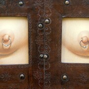 Scarlet Seven Fine Art Gallery