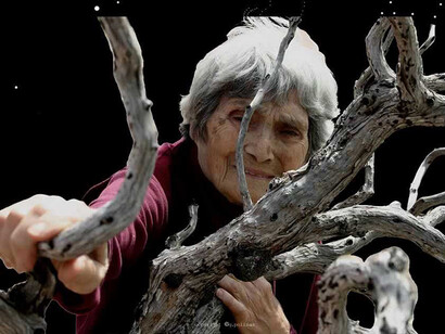Maria Lai