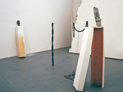 Federico De Leonardis, Linea IV, legno, bronzo, tralcio di vite, filo di ferro, installazione ambientale, 2008 (2)